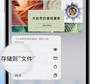 莎车apple维修中心分享iPhone文件应用中存储和找到下载文件