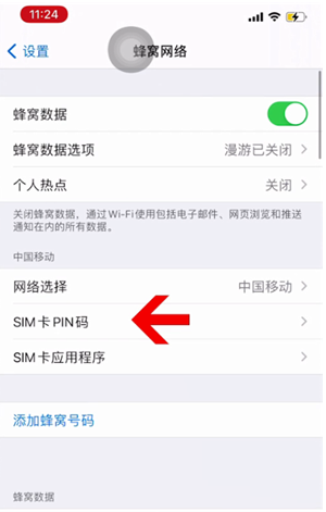 莎车苹果14维修网分享如何给iPhone14的SIM卡设置密码 