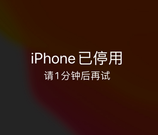 莎车苹果手机维修分享:iPhone 显示“不可用”或“已停用”怎么办？还能保留数据吗？ 