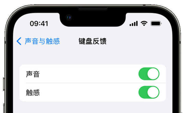 莎车苹果手机维修分享iPhone 14触感键盘使用方法 