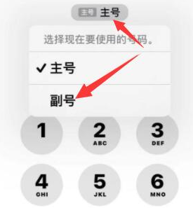 莎车苹果14维修店分享iPhone 14 Pro Max使用副卡打电话的方法 