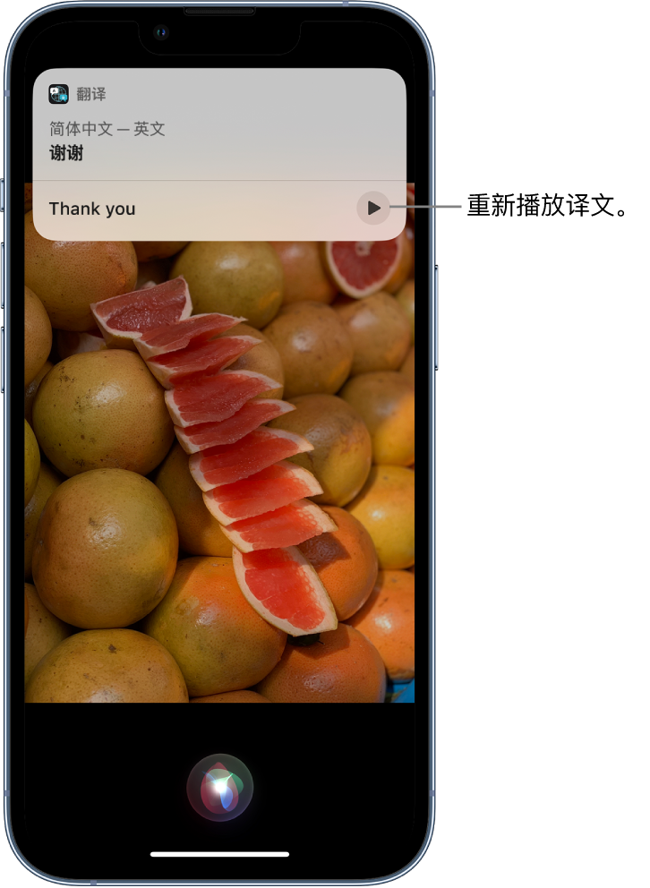 莎车苹果14维修分享 iPhone 14 机型中使用 Siri：了解 Siri 能帮你做什么 