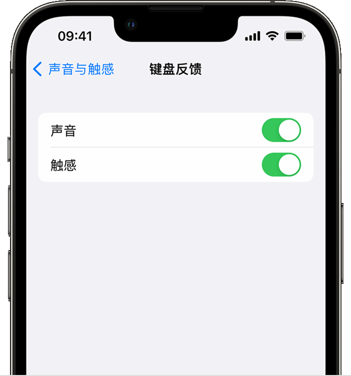 莎车苹果14维修分享iPhone 14 系列机型如何开启键盘声音或触感反馈 