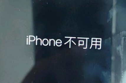 莎车苹果服务网点分享锁屏界面显示“iPhone 不可用”如何解决 