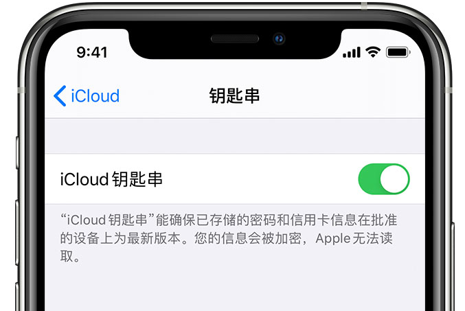 莎车苹果手机维修分享在 iPhone 上开启 iCloud 钥匙串之后会储存哪些信息 