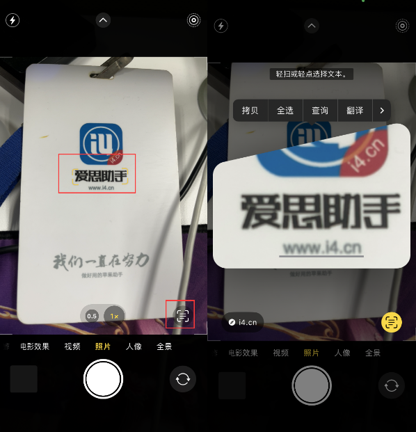 莎车苹果手机维修分享升级iOS 16后如何通过相机翻译文本 
