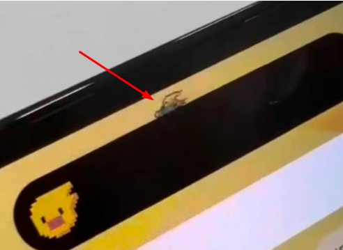 莎车苹果14维修分享iPhone 14 Pro Max灵动岛怎么养宠物 