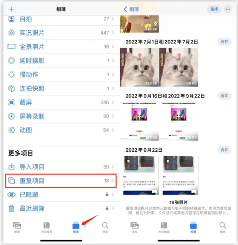 莎车苹果手机维修分享iOS 16 中相册重复项目功能使用方法 