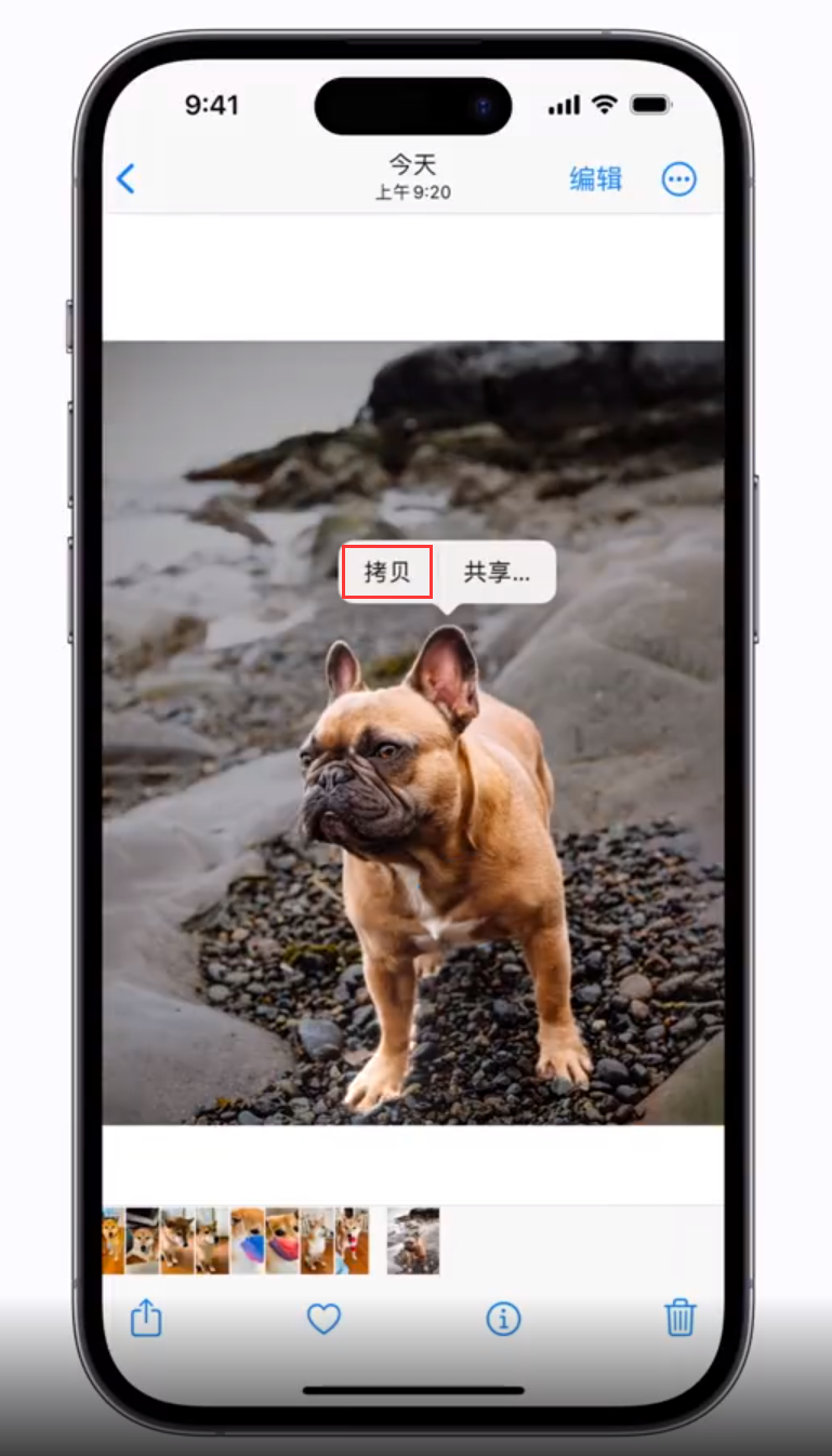 莎车苹果手机维修分享 iOS 16 自带一键抠图功能 
