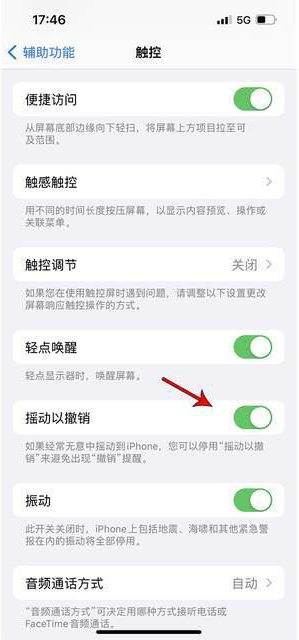 莎车苹果手机维修分享iPhone手机如何设置摇一摇删除文字 