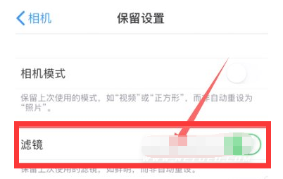 莎车苹果13维修分享iPhone13拍照有绿点是怎么回事 