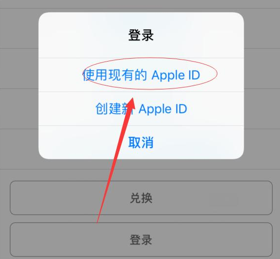 莎车苹果手机维修分享两台iPhone设备可以同时登录一个Apple ID吗 