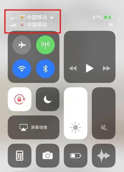莎车苹果手机维修分享为 iPhone 12 双卡设置标签 